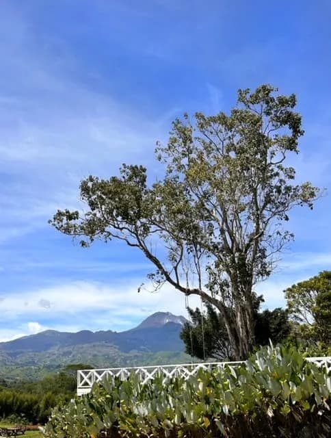 Altamers Mountain Resort, Kinambulan, Kapatagan, Digos City